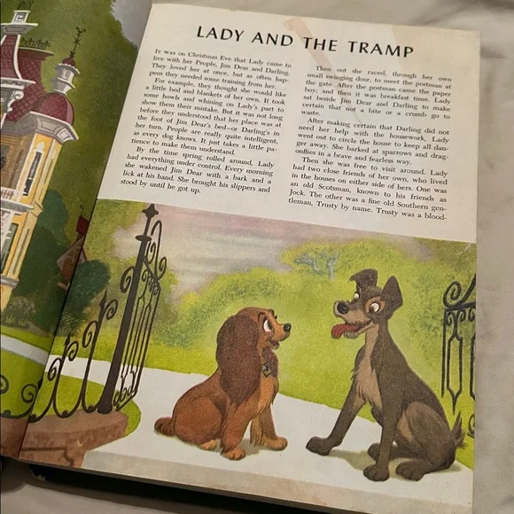 Disney *Vintage* 1965 The Wonderful Worlds of Walt Disney Four-Volume Boxed Set - Picture 14 of 16